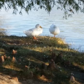 Nelson Park - Parks Near Me - Abilene, Texas Nelson Park - Parks Near Me - Abilene, Texas