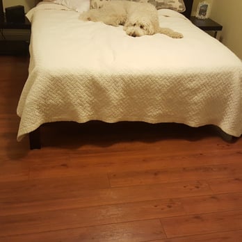 Daniel Flooring - Bedroom 2 - Flooring Near Me - Davie, Florida Daniel Flooring - Bedroom 2 - Flooring Near Me - Davie, Florida