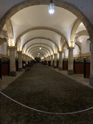 Caballerizas Reales by null