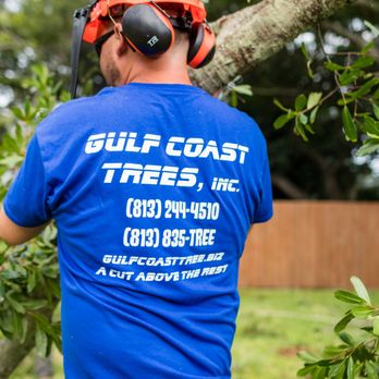 Gulf Coast Trees - Tree Services Near Me - Tampa, Florida Gulf Coast Trees - Tree Services Near Me - Tampa, Florida