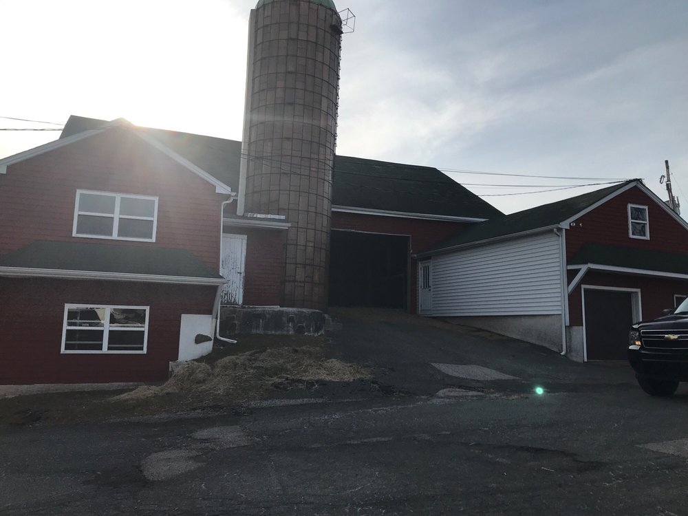 Black Horse Stables - equestrian in Norristown, PA