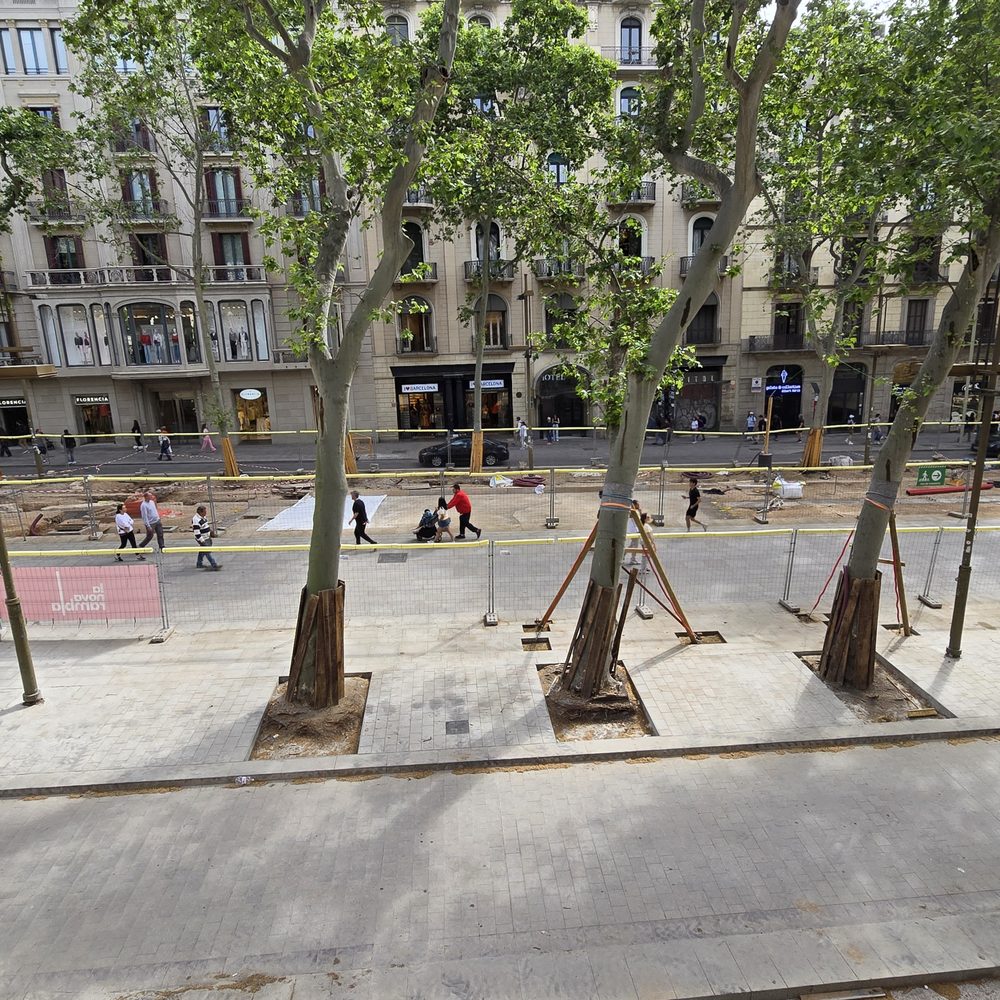 Las Ramblas - Local Flavor Near Me - Barcelona, B