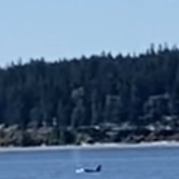 Puget Sound Express - Whale Watching Tours Near Me - Edmonds, Washington Puget Sound Express - Whale Watching Tours Near Me - Edmonds, Washington