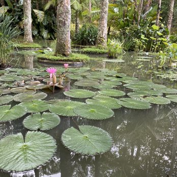 Parque Terra Nostra - Parks Near Me - Furnas, 20
