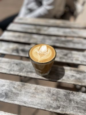 Scout Coffee Co. by null