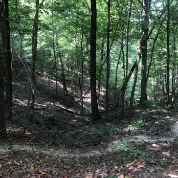 Jefferson Memorial Forest - Parks Near Me - Fairdale, Kentucky Jefferson Memorial Forest - Parks Near Me - Fairdale, Kentucky
