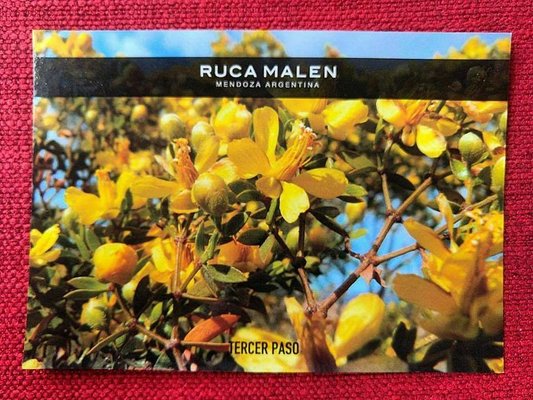 Bodega Ruca Malen by null