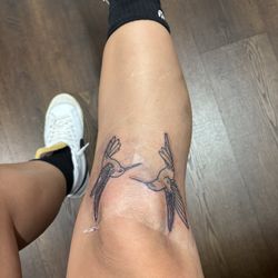 Black Orchid II Tattoo Studio - Two humming birds tattoo
