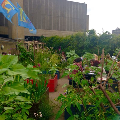 Queen Elizabeth Hall Roof Garden by null
