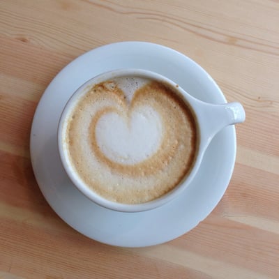 Black & Bloom by null