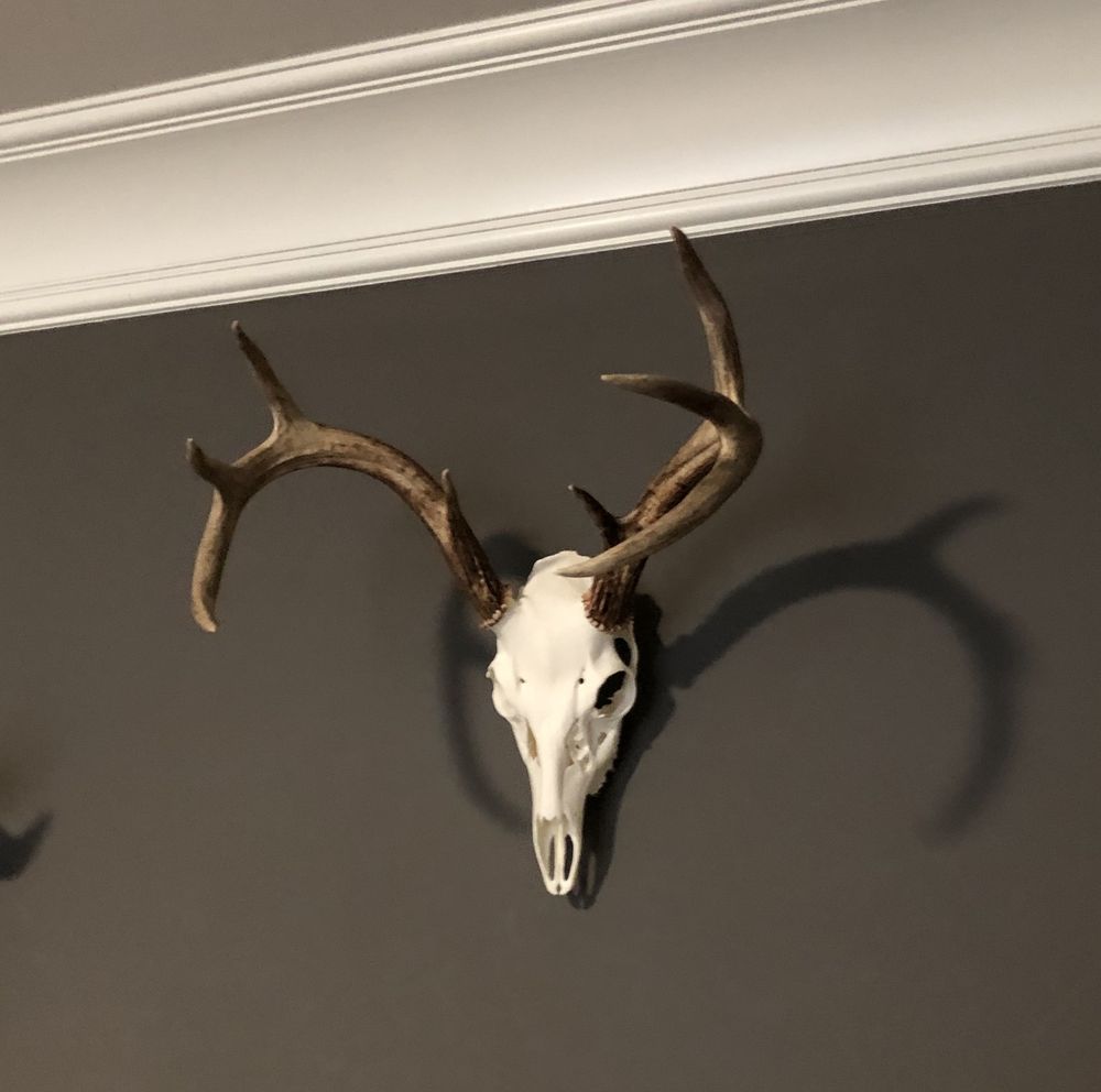 WEAVER MEAT PROCESSING Updated August 2024 2098 Highway 55 W