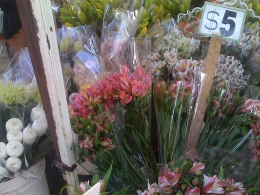 Orange County Great Park Farmers Market by null