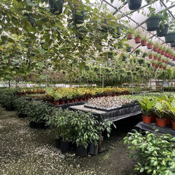 Kobata Growers - Nurseries & Gardening Near Me - Torrance, California Kobata Growers - Nurseries & Gardening Near Me - Torrance, California