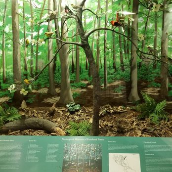 Fernbank Science Center - Museums Near Me - Atlanta, Georgia