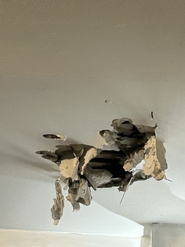 Slide of Roto-Rooter Plumbing & Water Cleanup