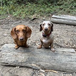 Active Care - Winnie & Olive