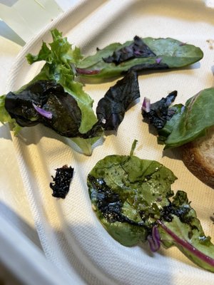 sweetgreen by null
