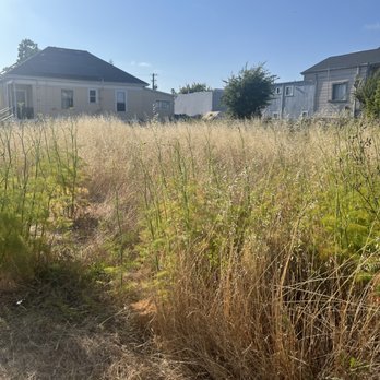 Haul U Need Yard Services - West Oakland lot (2) together - Landscaping Near Me Haul U Need Yard Services - West Oakland lot (2) together - Landscaping Near Me