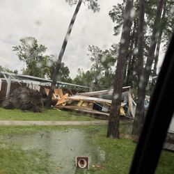 Dad's Club Swim Team - Crushed Coaches office by the tree