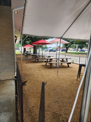 Bohemian Bull by null