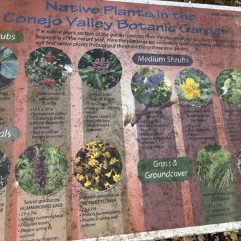 Conejo Valley Botanic Garden - Plant descriptions along the trails - Botanical Gardens Near Me - Thousand Oaks, California