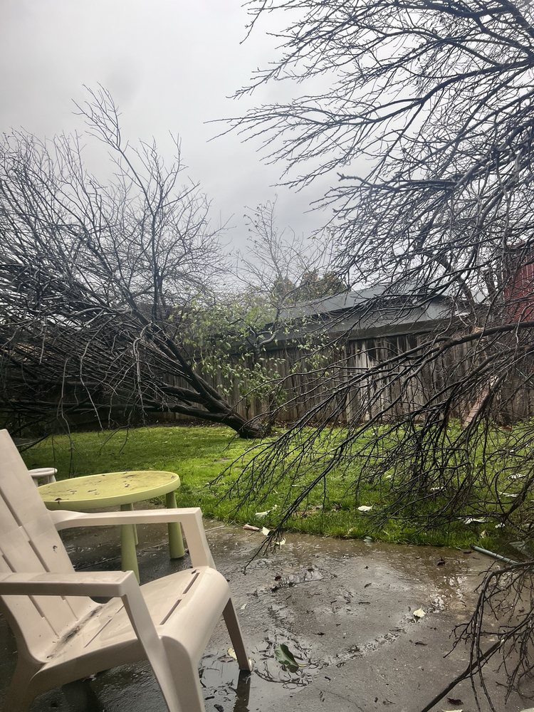 Slide of Ramirez Tree Service 