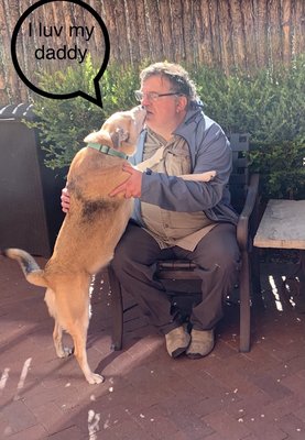 MOROSO Italian Ristorante by null