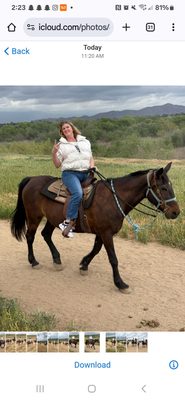 S&D Horseback Riding by null