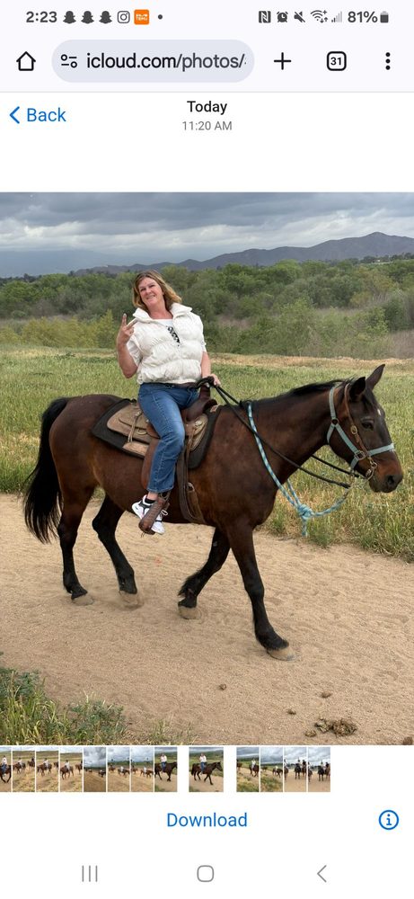 Social spots from Sunshine and Daydreams