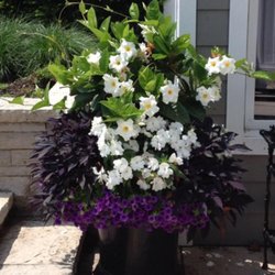 Bulow Gardens Center - Photo