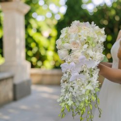 Colma Floral Shop