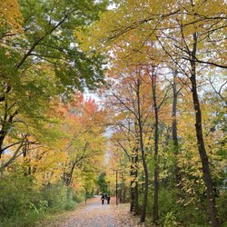 Cochituate Rail Trail