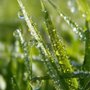 Photo of J. Canas Lawn & Landscaping