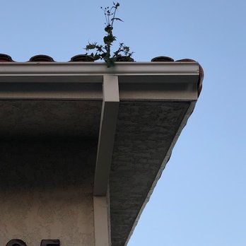Camarillo Oaks Apartments - No real shade on this, but I thought it was hilarious... - Apartments Near Me - Camarillo, California Camarillo Oaks Apartments - No real shade on this, but I thought it was hilarious... - Apartments Near Me - Camarillo, California