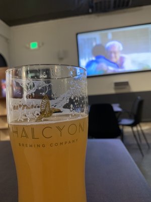 Halcyon Brewing Company by null