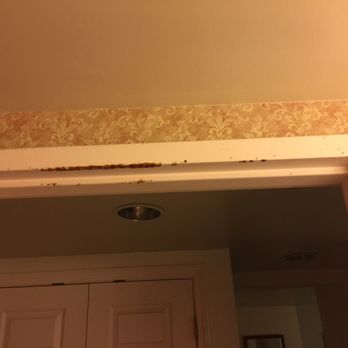 Wingate By Wyndham Mobile - These are the problems I saw. They need to be these fixed. The owner of this branch needs to make sure everyone has the same experience. - Hotels Near Me - Mobile, Alabama Wingate By Wyndham Mobile - These are the problems I saw. They need to be these fixed. The owner of this branch needs to make sure everyone has the same experience. - Hotels Near Me - Mobile, Alabama