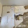 Photo of Primera Carpet One Floor & Home