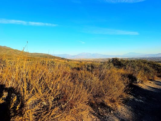 North Etiwanda Preserve by null