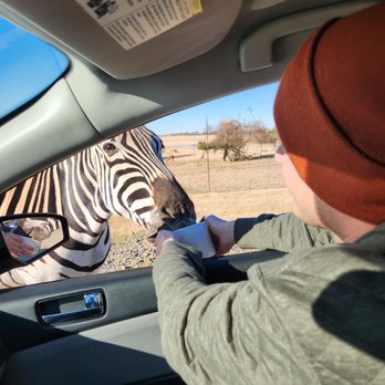 Tennessee Safari Park - Parks Near Me - Alamo, Tennessee