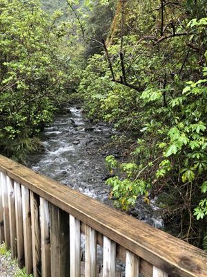 Franz Josef Glacier Guides by null