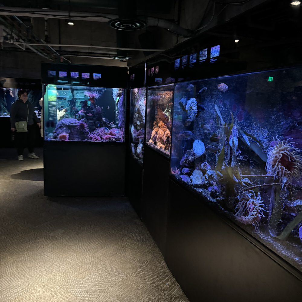 Seattle Aquarium - Aquariums Near Me - Seattle, Washington Seattle Aquarium - Aquariums Near Me - Seattle, Washington