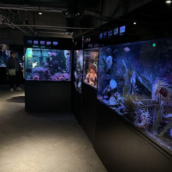 Seattle Aquarium - Aquariums Near Me - Seattle, Washington Seattle Aquarium - Aquariums Near Me - Seattle, Washington