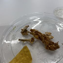 Chicken Tinga Protein Plate Chicken Tinga Protein Plate