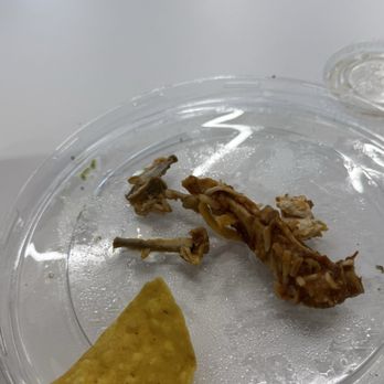 Wildbird - chicken bones attached to chicken breast and chicken tinga - Chicken Shop Near Me - El Segundo, California Wildbird - chicken bones attached to chicken breast and chicken tinga - Chicken Shop Near Me - El Segundo, California