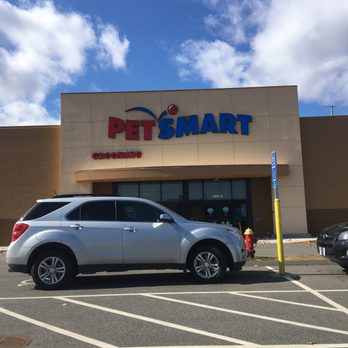 PetSmart - Pet Training Near Me - Chicopee, Massachusetts