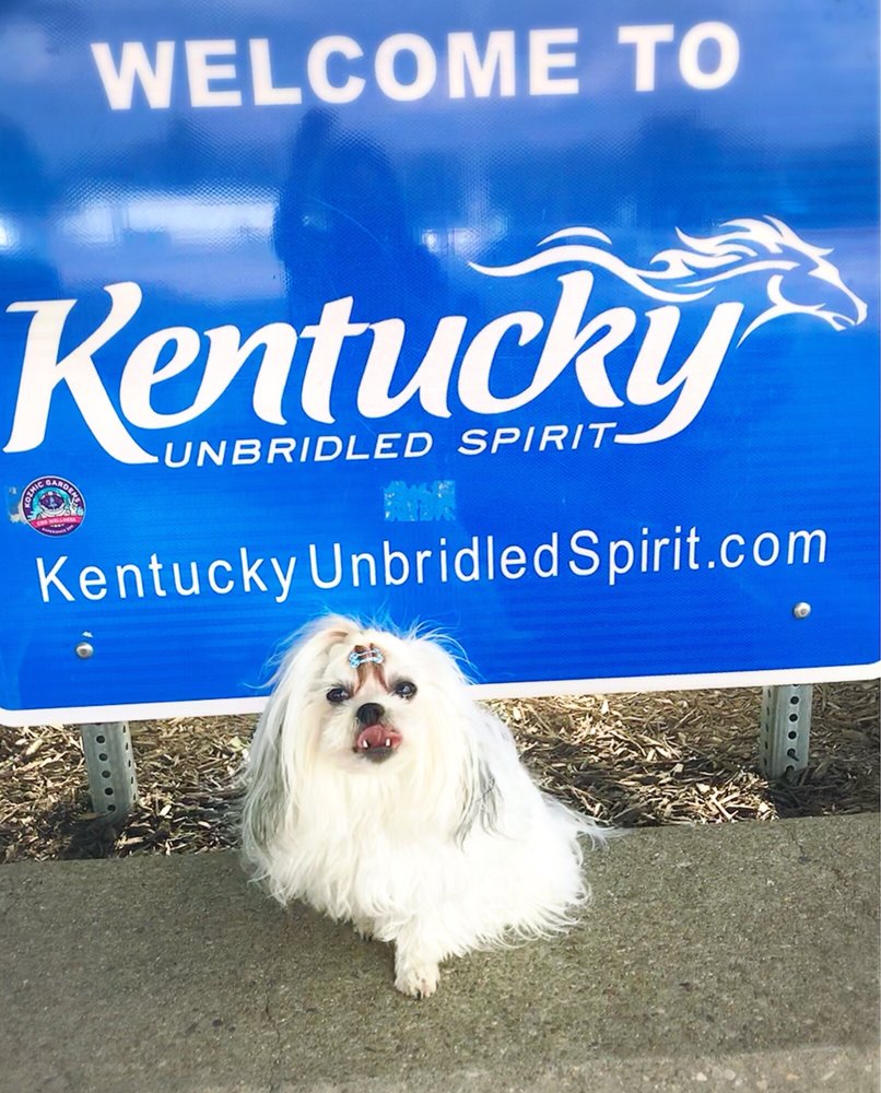 KENTUCKY REST AREA I-71/I-75 NORTHBOUND - Rest Stops - Mm 177 I-71/75
