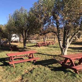 Bodhaine Ranch - Comfy little picnic area - Bakeries Near Me - Camino, California Bodhaine Ranch - Comfy little picnic area - Bakeries Near Me - Camino, California