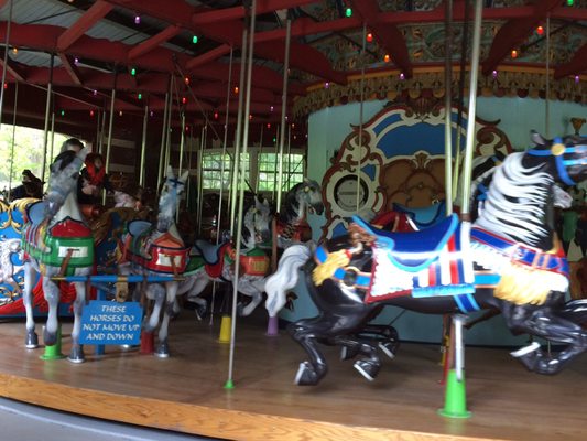 Central Park Carousel by null