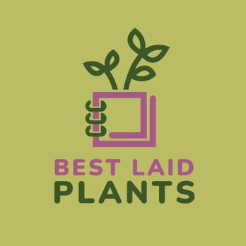 Best Laid Plants - Gardeners Near Me Best Laid Plants - Gardeners Near Me