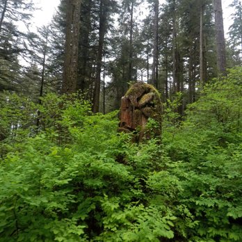 Glacier Gardens Rainforest Adventure - Squirrel hotel - Botanical Gardens Near Me - Juneau, Alaska